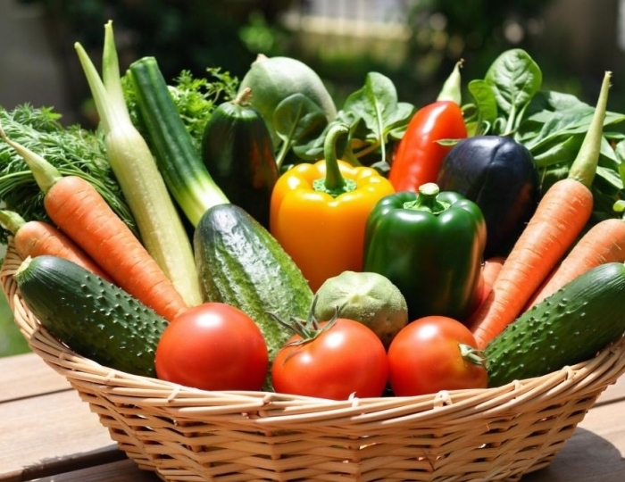 Детокс — программа - Санаторий «Актер» Сочи