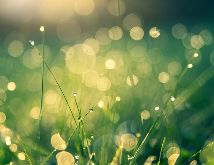 Общетерапевтическая - Лечебные программы - Санаторий «Актер» Сочи